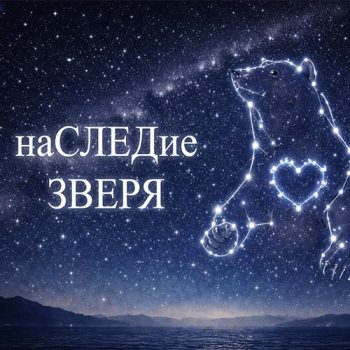 https://te-ma.by/wp-content/uploads/2026/05/Наследие-зверя-созвездие-медведь-500х500-копия-350x350.jpg